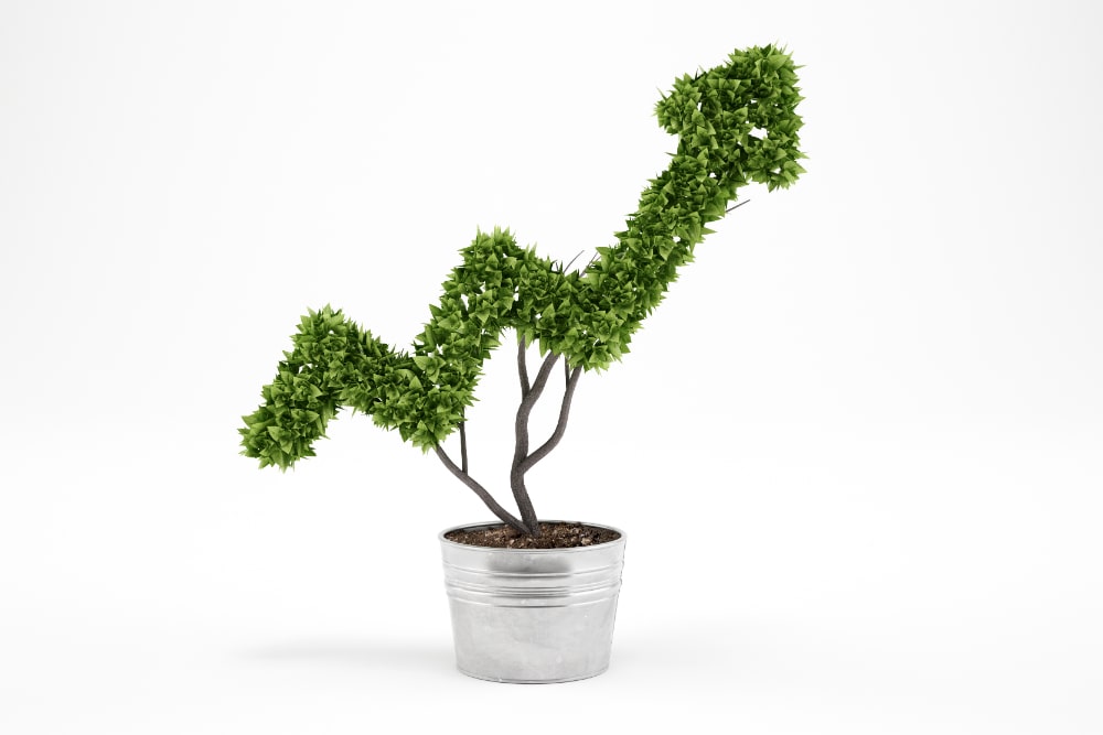 Groei in visuele communicatie in de Benelux 2 Groei in visuele communicatie in de Benelux groene groei